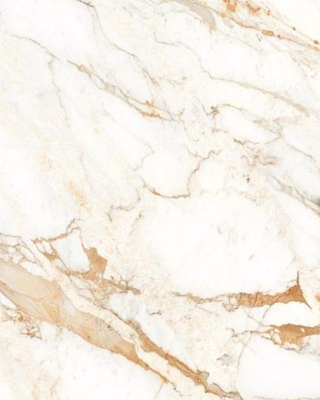 Calacata Gold (Sintered Stone)