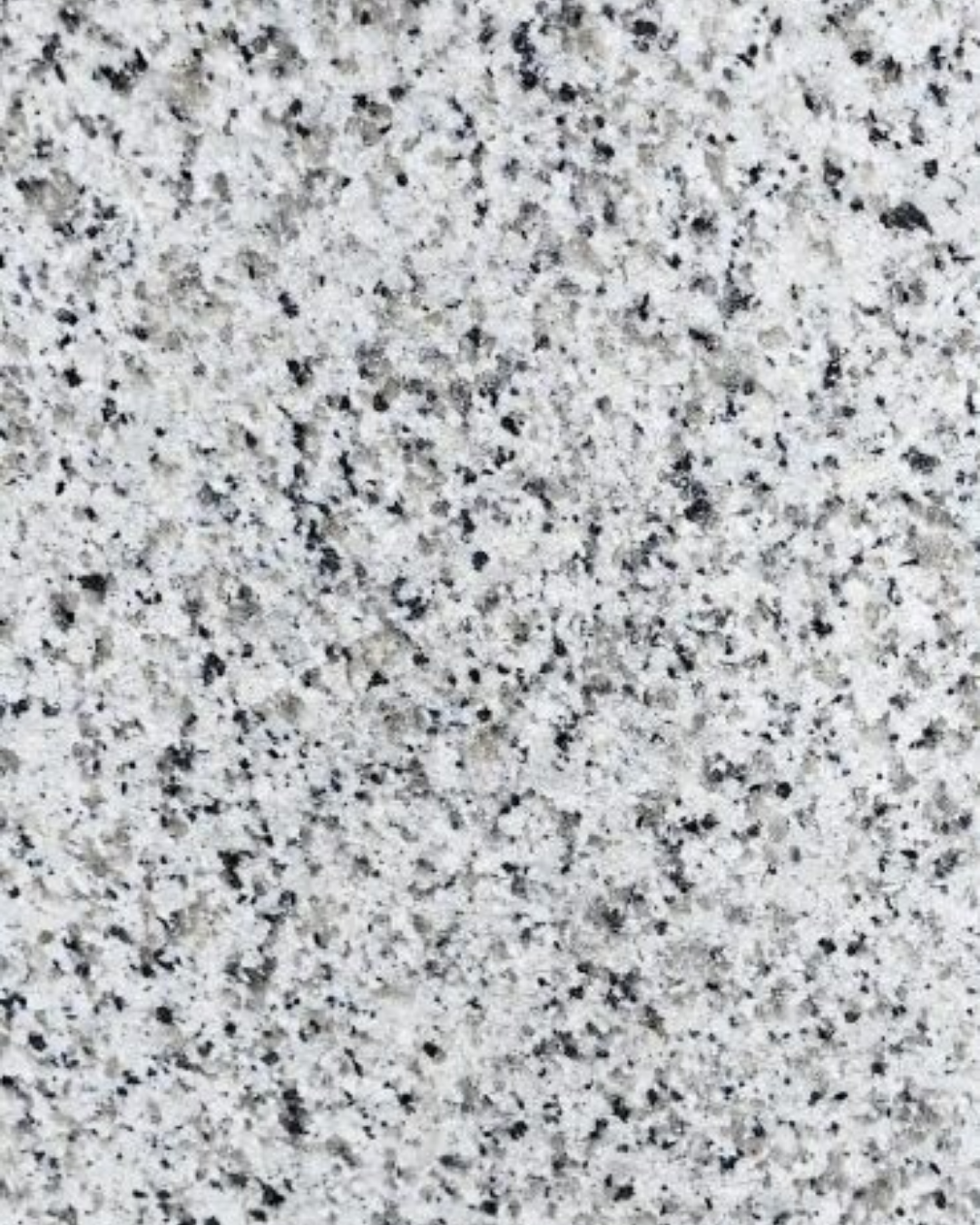 Dalmatian White (Granite)