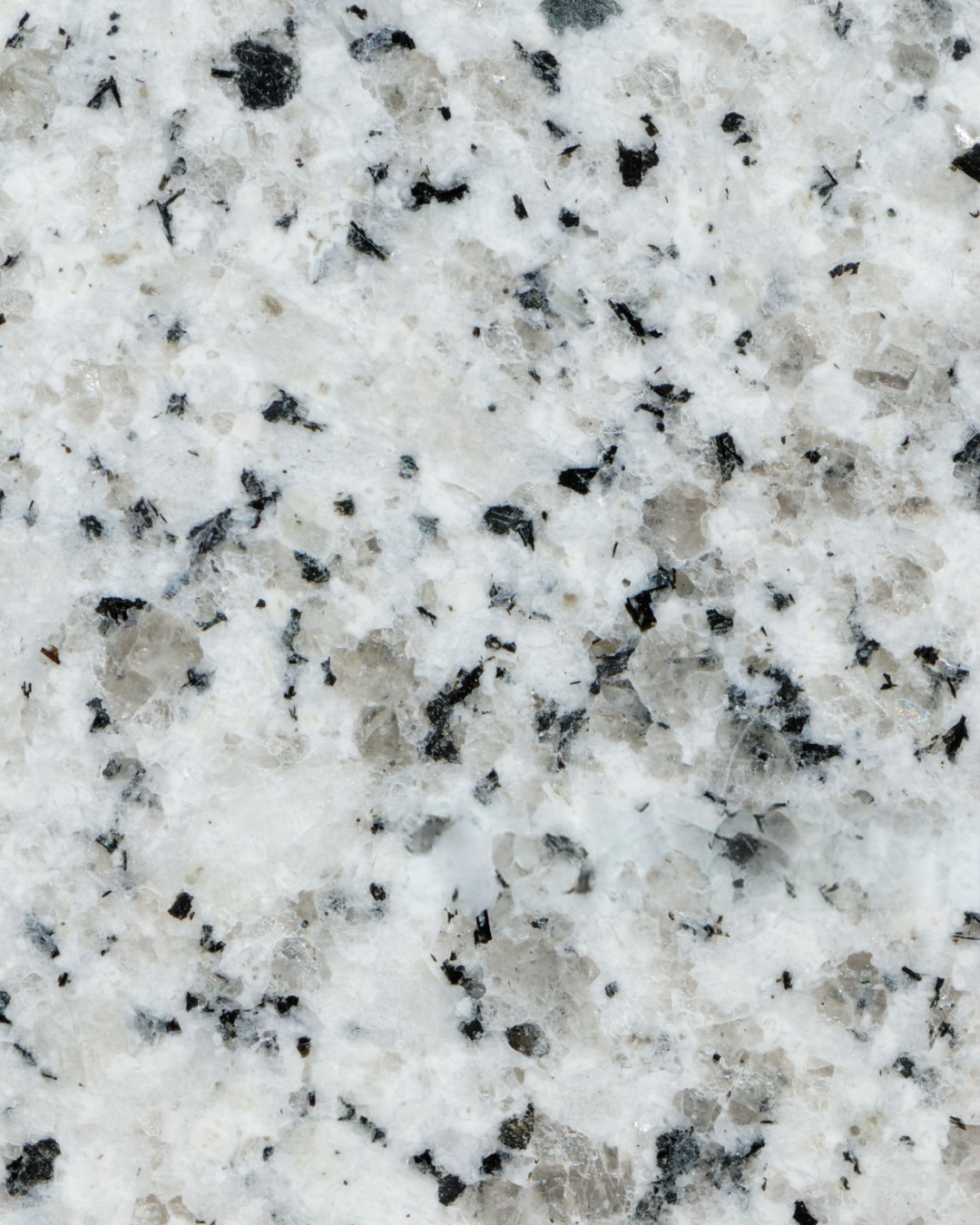Gray White (Granite)