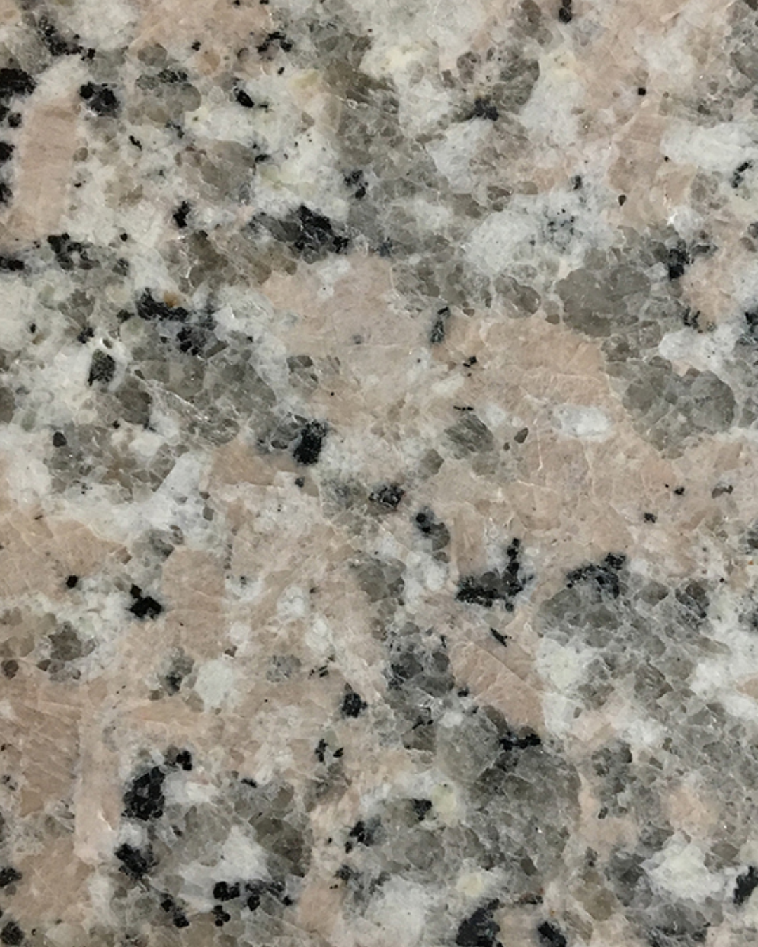 Pink Flower (Granite)