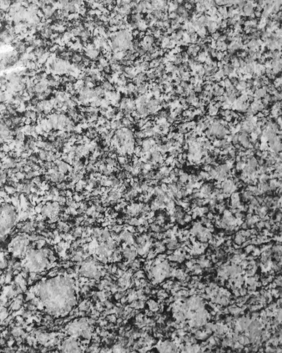 Spary White (Granite)